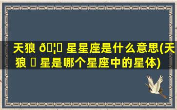 天狼 🦋 星星座是什么意思(天狼 ☘ 星是哪个星座中的星体)